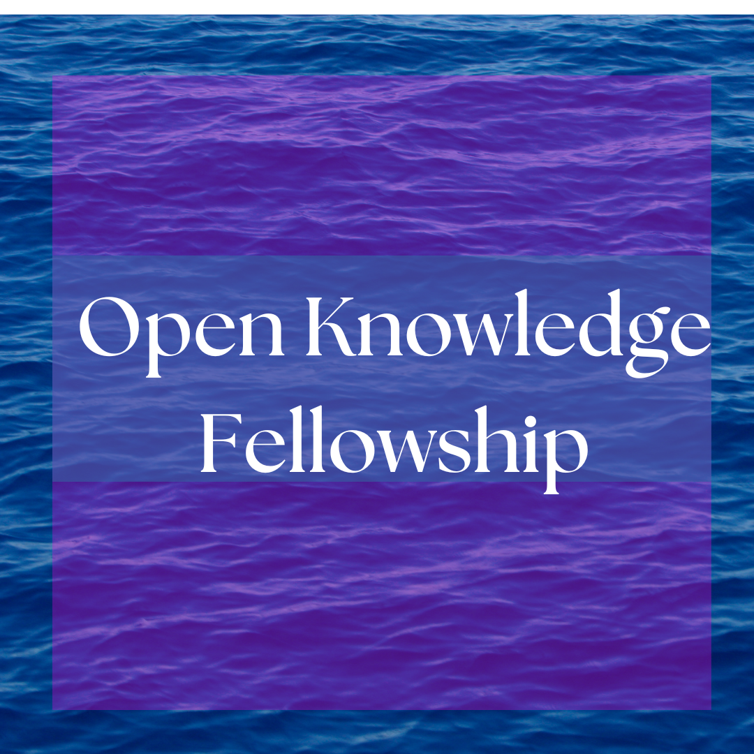 Apply now! Open Knowledge Fellowship